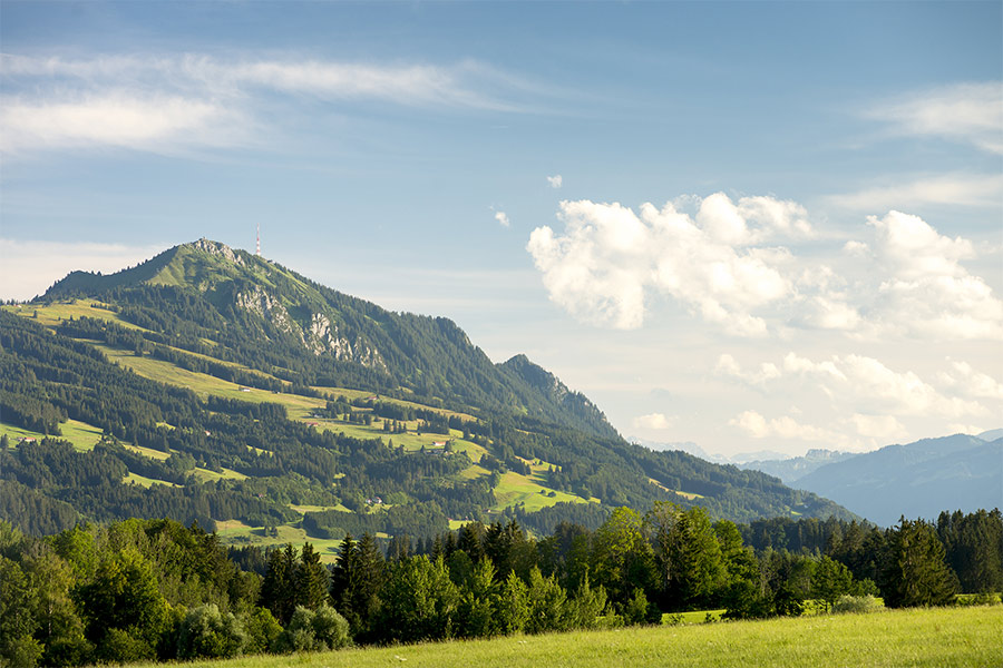 Dekoratives Bild